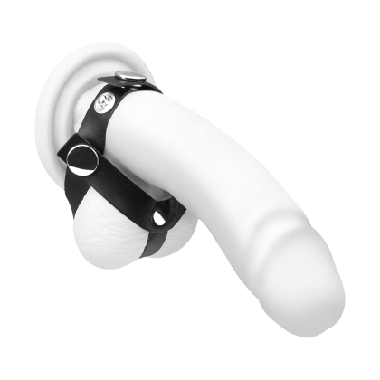 Penis-Hoden-Manschette aus Leder Penis-Hoden-Manschette aus Leder