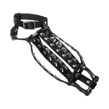 Peniskäfig mit Innendornen Peniskäfig mit Innendornen