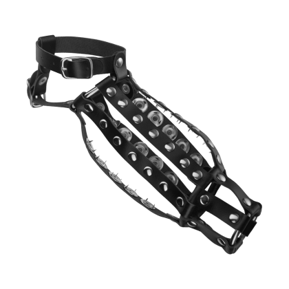 Peniskäfig mit Innendornen Peniskäfig mit Innendornen