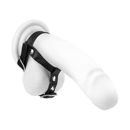 Penis- und Hodengurt aus Leder Penis- und Hodengurt aus Leder