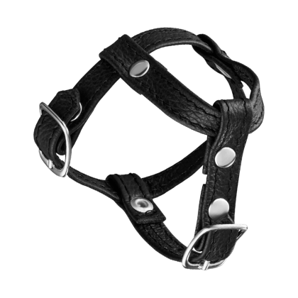 Leder-Penisgurt mit Hodenteiler Leder-Penisgurt mit Hodenteiler