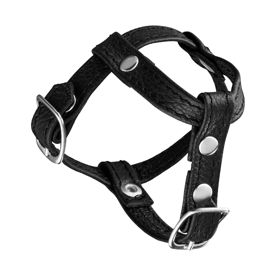 Leder-Penisgurt mit Hodenteiler
