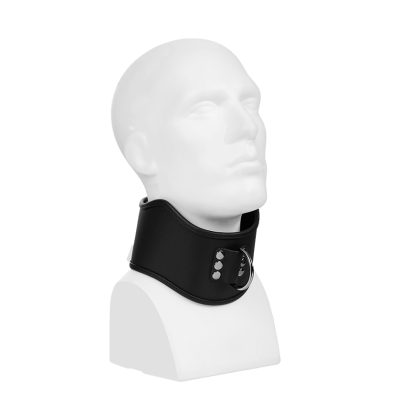 Gepolstertes Halsband mit D-Ring Gepolstertes Halsband mit D-Ring