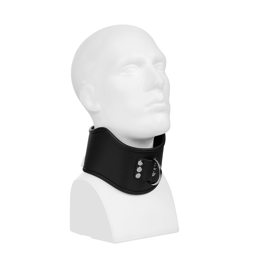 Gepolstertes Halsband mit D-Ring