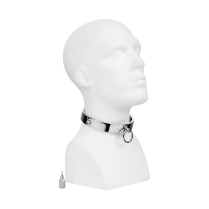 Breites Edelstahl-Sklavenhalsband Breites Edelstahl-Sklavenhalsband