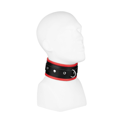 Gepolstertes Halsband, S/M Gepolstertes Halsband, S/M