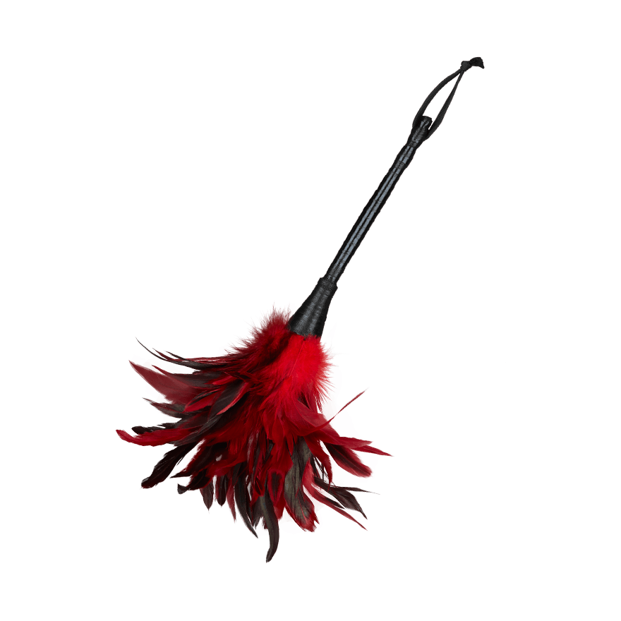 Frisky Feather Duster