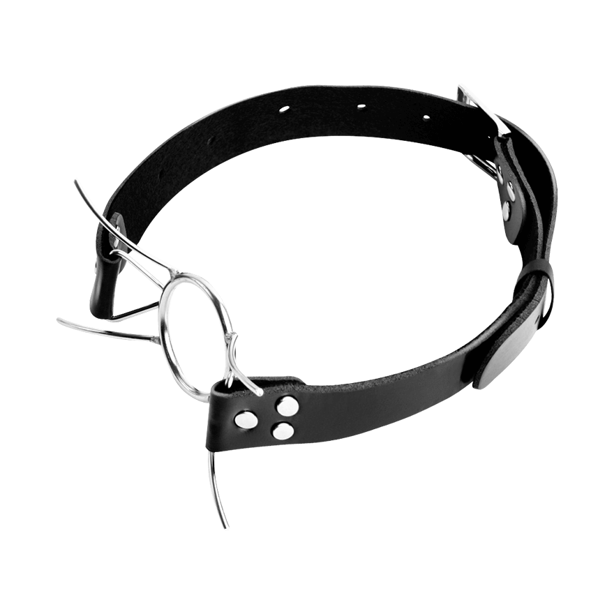 Spider Gag