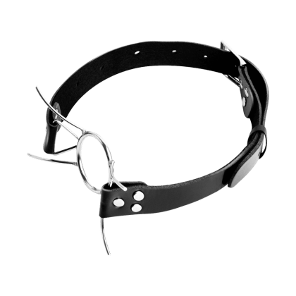 Spider Gag Spider Gag