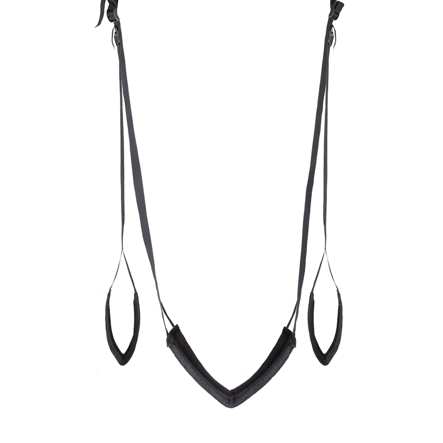 Deluxe Door Swing