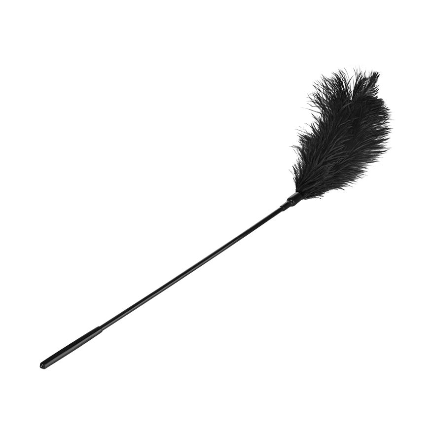 Large Feather Tickler