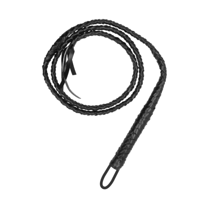 Twisted Whip Twisted Whip