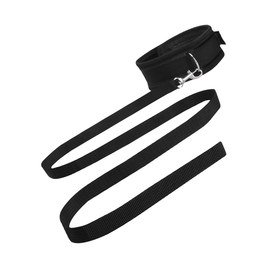 Velvet Collar with Leash