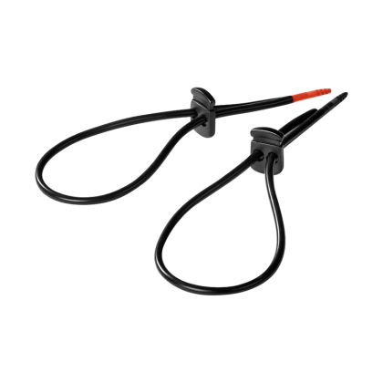 Rodeo Robin Rodeo Robin