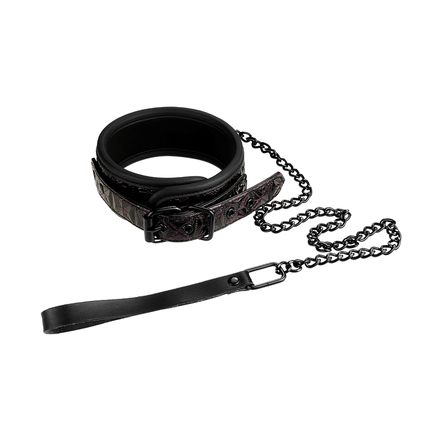 Collar and Leash