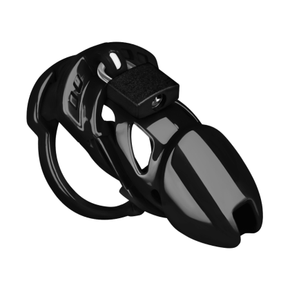 Chastity Standard Chastity Standard