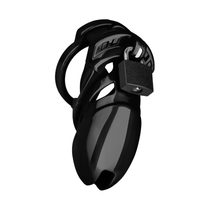 Chastity Plus Chastity Plus