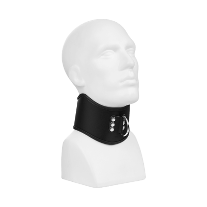 Gepolstertes Halsband mit D-Ring Gepolstertes Halsband mit D-Ring