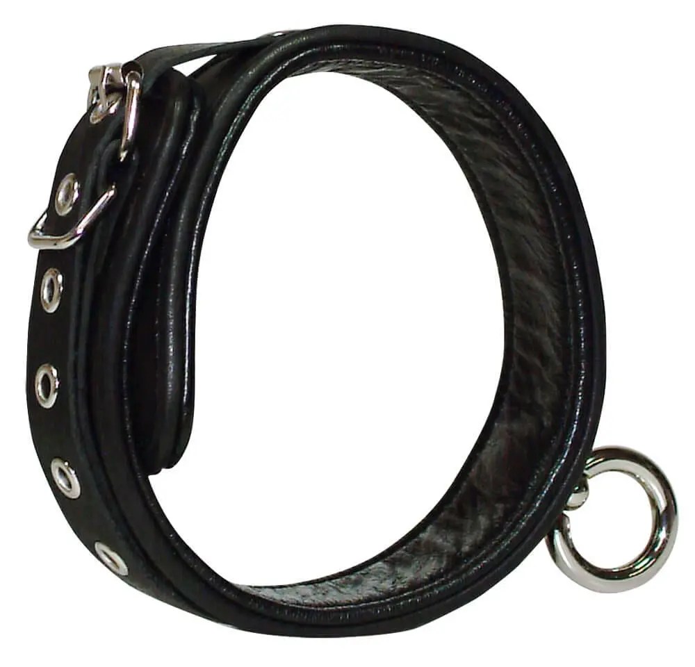Wild Thing von Zado - Bondage Halsband