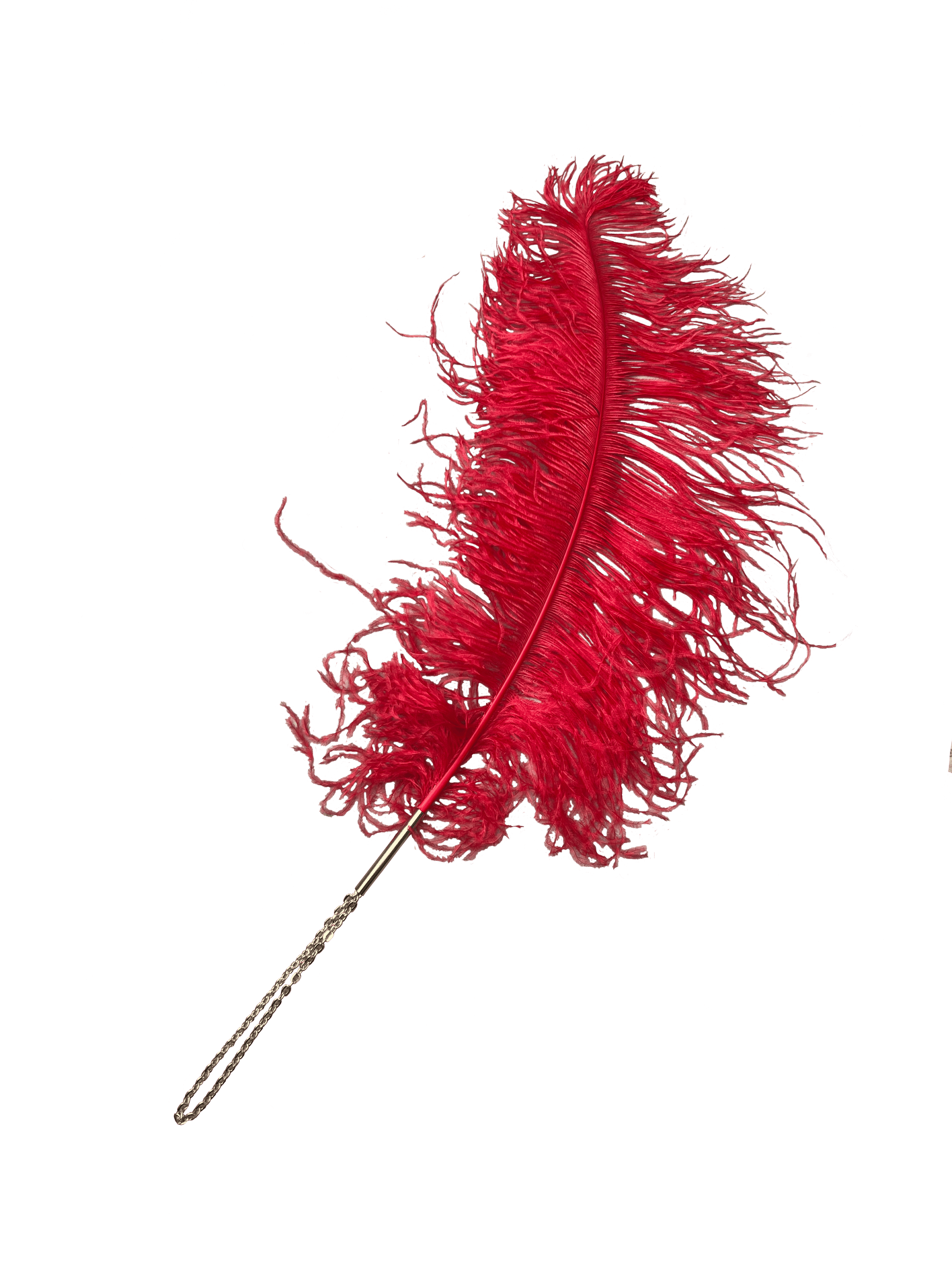 Elif Domanic - Tickle Feather 