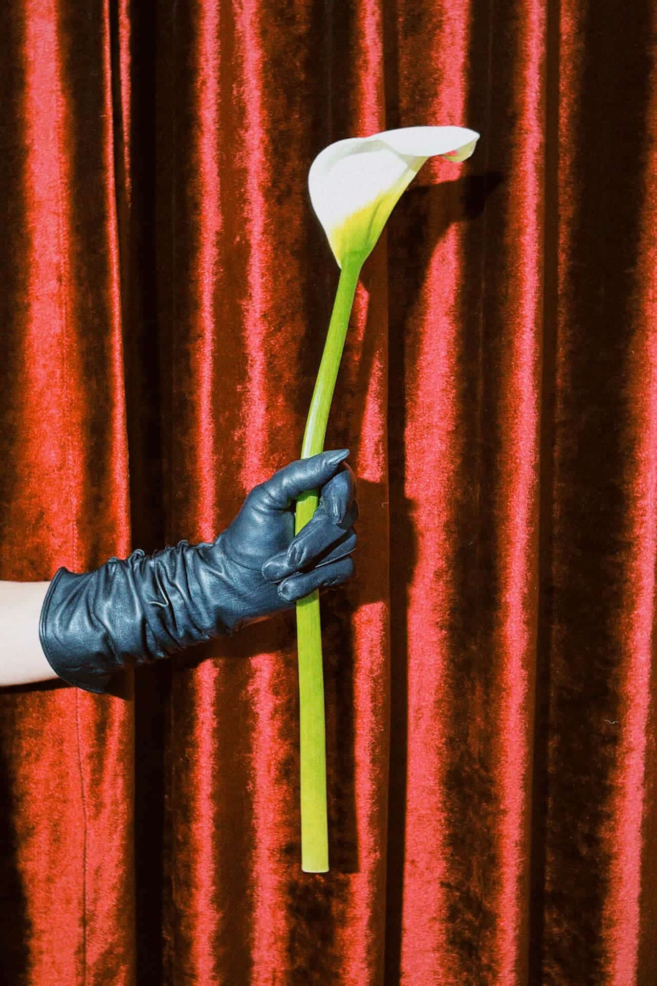 Elif Domanic - Roxy Handschuhe Größe M