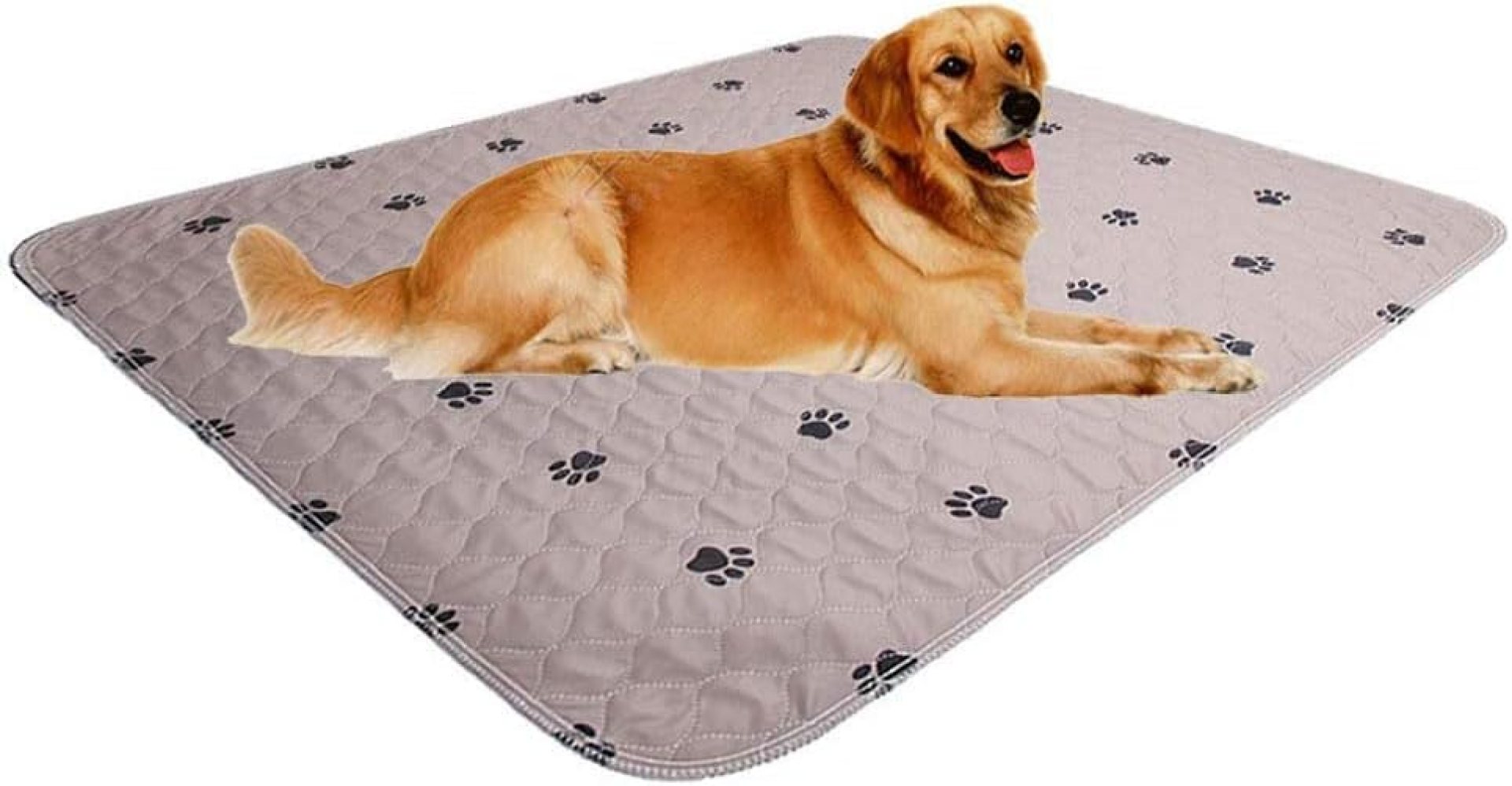 Washable Dog Pee Pads with Puppy Grooming Gloves,Puppy Pads,Reusable Pet Training Pads,Large Dog Pee Pad,Waterproof Pet Pads for Dog Bed Mat,Super Absorbing Whelping Pads Washable Dog Pee Pads with Puppy Grooming Gloves,Puppy Pads,Reusable Pet Training Pads,Large Dog Pee Pad,Waterproof Pet Pads for Dog Bed Mat,Super Absorbing Whelping Pads