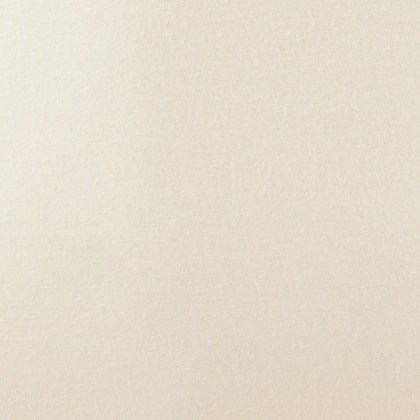 Longsleeve – Bild 3