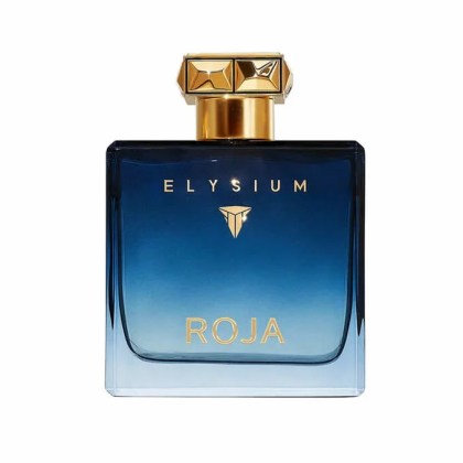 Roja Elysium Pour Homme Eau De Parfum Spray 100ml Roja Elysium Pour Homme Eau De Parfum Spray 100ml