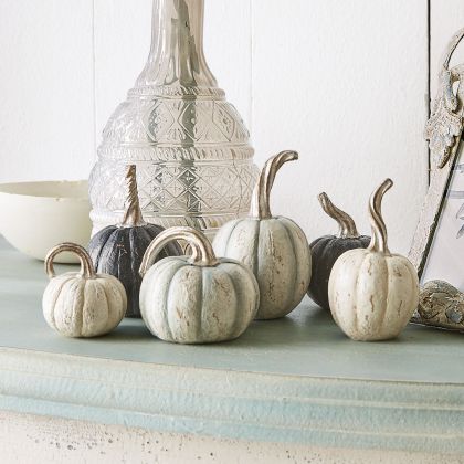 Kürbis 6er Set Yokane Kürbis 6er Set Yokane