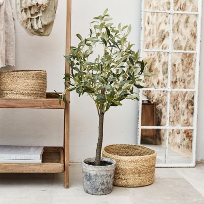 Deko-Topfpflanze Mariuccia Deko-Topfpflanze Mariuccia