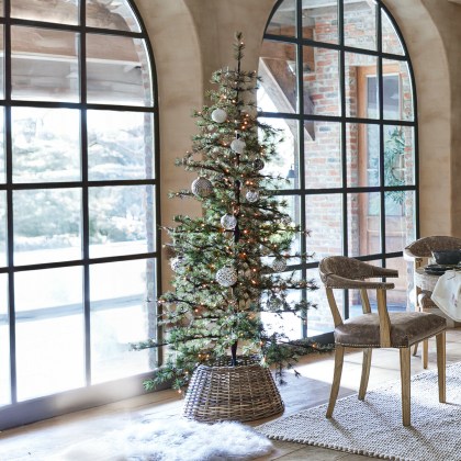 Weihnachtsbaum Sapi Weihnachtsbaum Sapi