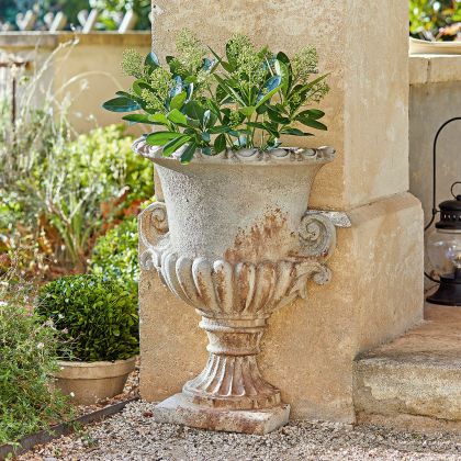 Amphore Cevio Amphore Cevio