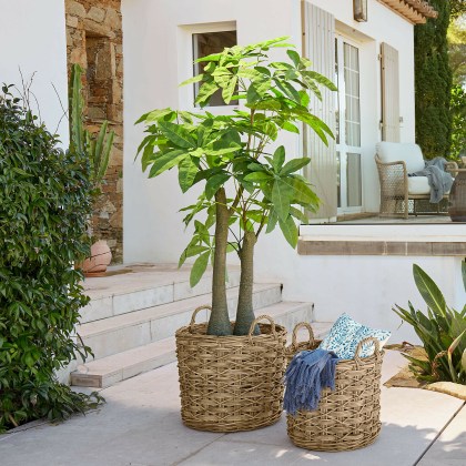 Deko-Topfpflanze Elandra Deko-Topfpflanze Elandra