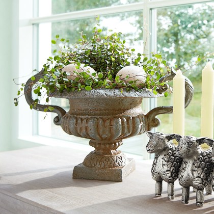 Amphore Iverlon Amphore Iverlon