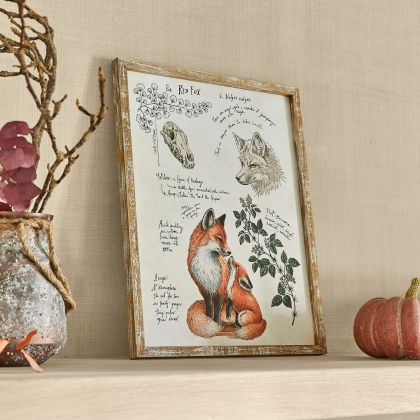 Dekoboard Survie Dekoboard Survie