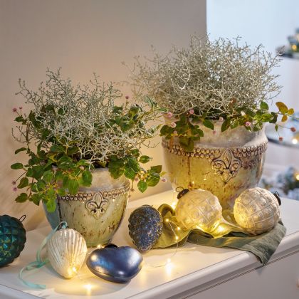 Übertopf 2er Set Montcony Übertopf 2er Set Montcony