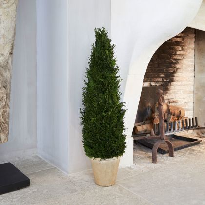 Deko-Topfpflanze Arras Deko-Topfpflanze Arras