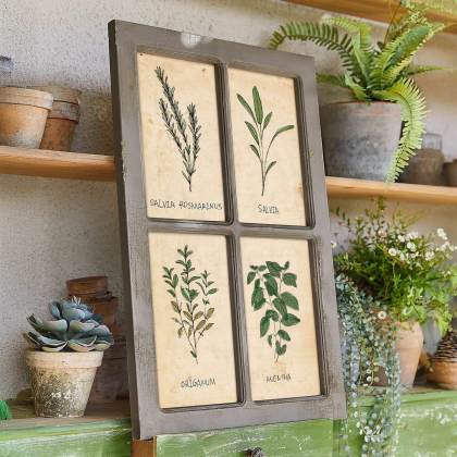 Bild Beaurive Bild Beaurive