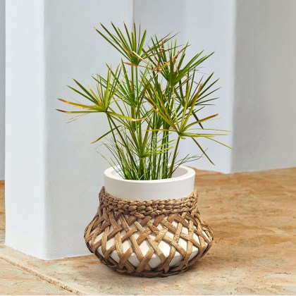 Übertopf Amariel Übertopf Amariel