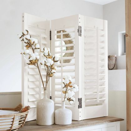 Shutter Ventura Shutter Ventura