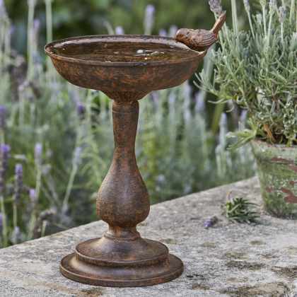 Vogeltränke Bastiane Vogeltränke Bastiane