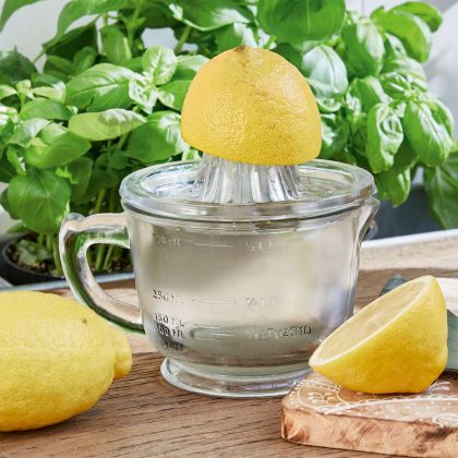 Zitronenpresse Cindy Zitronenpresse Cindy