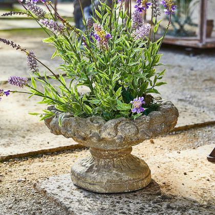 Amphore Bellivon Amphore Bellivon