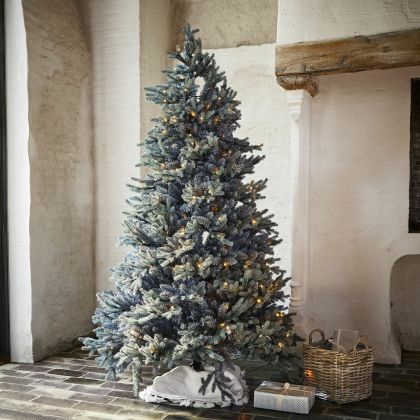 Weihnachtsbaum Patrick Weihnachtsbaum Patrick