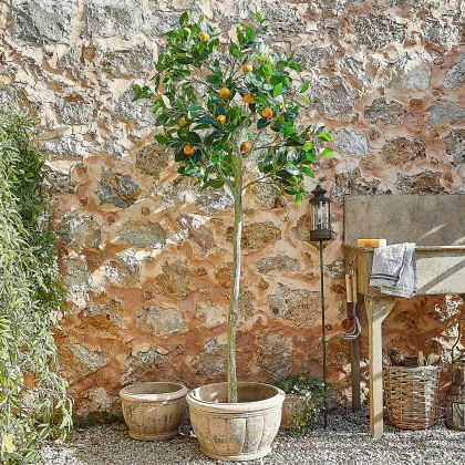 Deko-Pflanze Delbart Deko-Pflanze Delbart