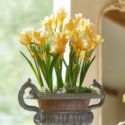 Deko-Blume 12er Set Ilvera Deko-Blume 12er Set Ilvera