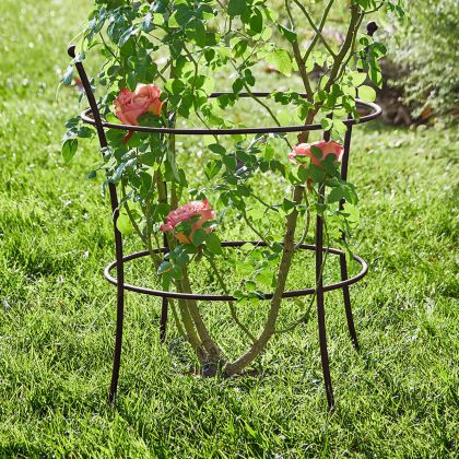 Rankgitter Hearne Rankgitter Hearne