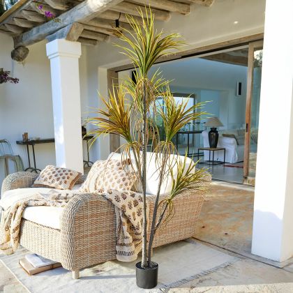 Deko-Topfpflanze Ancerac Deko-Topfpflanze Ancerac