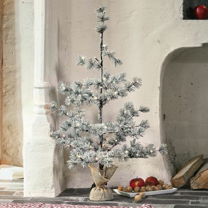 Weihnachtsbaum Falkirk Weihnachtsbaum Falkirk