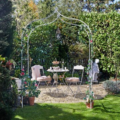 Rosenbogen Dimarus Rosenbogen Dimarus